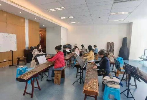 免费市民艺术培训招生啦！点燃艺术热情，共享文化之美