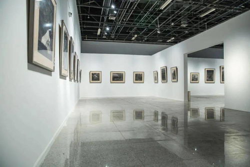 三展联动 艺术、创新与传承的视觉盛宴